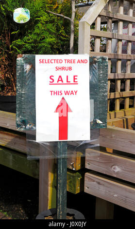 A tree and shrub sale sign at a garden centre at Taverham, Norfolk, England, United Kingdom, Europe. Stock Photo