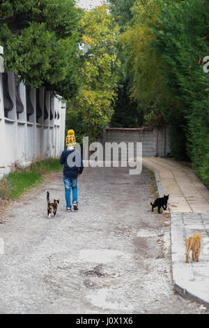 Boy walking down street with three cats Stock Photo