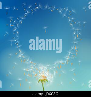 Vector dandelion with seeds flying away with the wind forming round frame Stock Vector