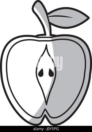 half apple food nutrition - shadow Stock Vector