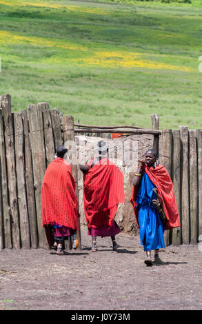Reportage of women in everyday life in the Ngorongoro Ngorongoro Conservation Area Maasai Village. This village is en route to Ngorongoro Crater. Stock Photo