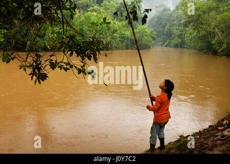 Indian girl in Amazon rain forest, Ecuador Stock Photo