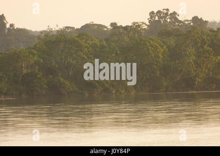 Rio Napo in Yasuni, national park, Stock Photo