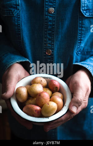 Potatoes in a white bowl in the hands of a man in a blue shirt vertical Stock Photo