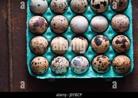 Quail eggs in the container on the old metal background top view Stock Photo