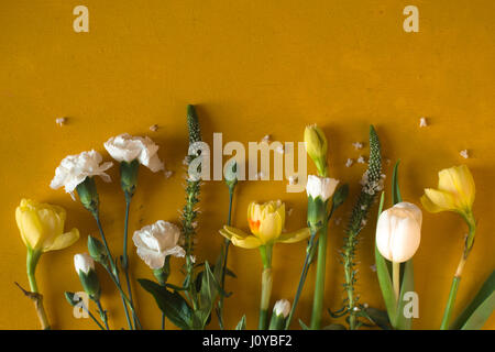 Spring flowers on the dark yellow background top view Stock Photo
