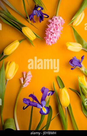 Frame of tulips, irises on a yellow background Stock Photo