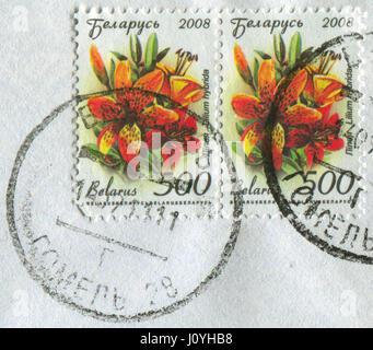 GOMEL, BELARUS, APRIL 15, 2017. Stamp printed in Belarus shows image of  The Lilium hybrida, circa 2008. Stock Photo