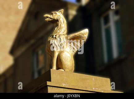 A golden gryphon provides an architectural adornment tp a building in Dundee, Scotland Stock Photo