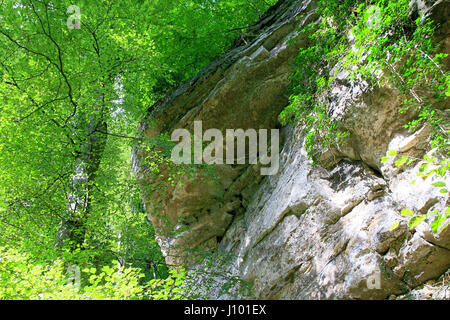 Mullerthal Trail, Schiessentumpel Waterfall, Luxembourg Stock Photo