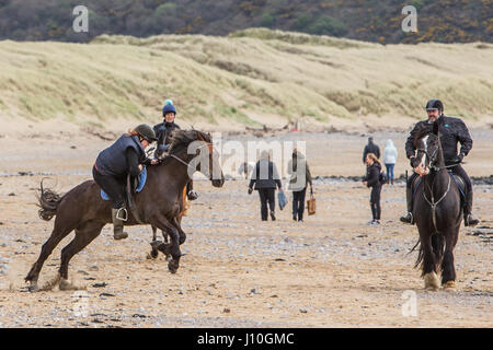 Merthyr Mawr Beach, South Wales, UK. 17th April, 2017. An unlucky horse rider fell from her horse when it bolted on Merthyr Mawr Beach near Porthcawl, today 17th April 2017. The rider was taking part in an organised horse trekking activity on the popular South Wales beach when the horse sped off, tipping the rider to the sand. The rider appeared shaken but not seriously hurt and was soon back in the saddle. Credit: Chris Stevenson/Alamy Live News Stock Photo