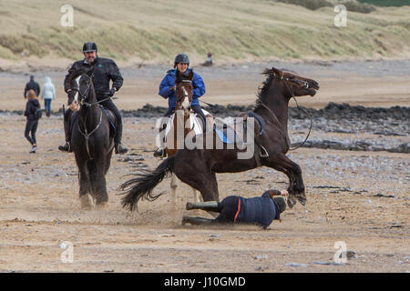 Merthyr Mawr Beach, South Wales, UK. 17th April, 2017. An unlucky horse rider fell from her horse when it bolted on Merthyr Mawr Beach near Porthcawl, today 17th April 2017. The rider was taking part in an organised horse trekking activity on the popular South Wales beach when the horse sped off, tipping the rider to the sand. The rider appeared shaken but not seriously hurt and was soon back in the saddle. Credit: Chris Stevenson/Alamy Live News Stock Photo