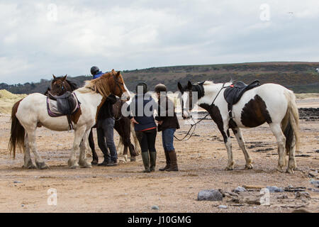 Merthyr Mawr Beach, South Wales, UK. 17th April, 2017. An unlucky horse rider fell from her horse when it bolted on Merthyr Mawr Beach near Porthcawl, today 17th April 2017. The rider was taking part in an organised horse trekking activity on the popular South Wales beach when the horse sped off, tipping the rider to the sand. The rider appeared shaken but not seriously hurt and was soon back in the saddle. Credit: Chris Stevenson/Alamy Live News Stock Photo