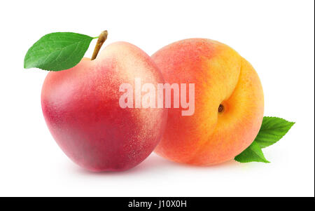 Isolated fruits. Whole peach and nectarine with leaves isolated on white background with clipping path Stock Photo