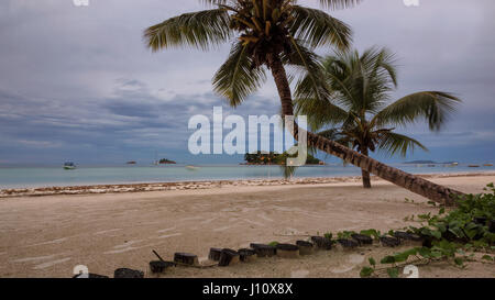 Palm trees on the beach after sunset at Seychelles, Praslin island. Stock Photo