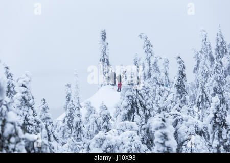 People snowshoeing in winter landscape with trees covered with tykkylumi (Crown snow-load) in Koli National Park, Finland Stock Photo
