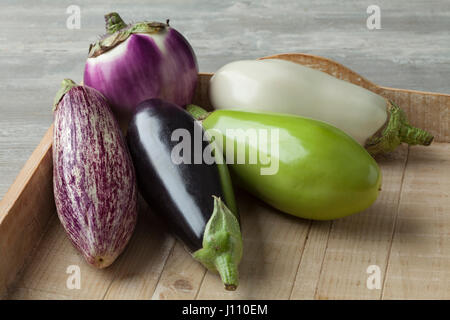 Fresh variety of raw eggplants Stock Photo