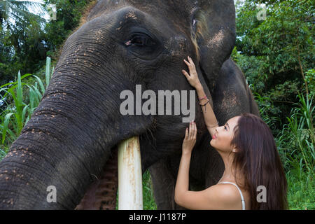 Woman stroking elephant, Tegallalang, Bali, Indonesia Stock Photo