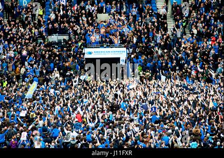 Fans and players of the Brighton and Hove Albion football club celebrating promotion to the Premier League at the Amex Stadium, April 17th, 2017. Stock Photo