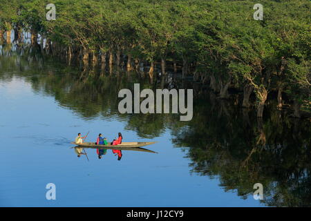 A scenario of Tanguar Haor also called Tangua Haor. Sunamganj,Bangladesh. Stock Photo