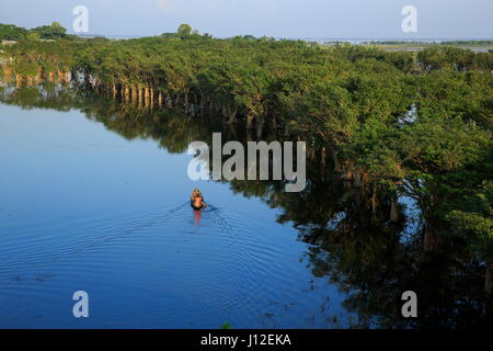 A scenario of Tanguar Haor also called Tangua Haor. Sunamganj,Bangladesh. Stock Photo