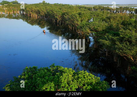 A scenario of Tanguar Haor also called Tangua Haor. Sunamganj,Bangladesh. Stock Photo