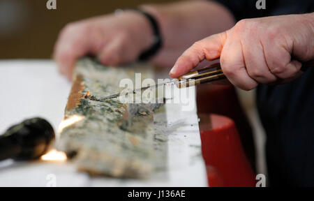 U.S. Customs and Border Protection, Office of Field Operations, Agriculture Specialist John Taylor inspects wood packaging material (WPM) for the presence of live wood boring insect larvae as he and team members of the National Agriculture Cargo Targeting Unit search imports at the Port of Baltimore in Baltimore, Md., April 4, 2017. U.S. Customs and Border Protection Photo by Glenn Fawcett Stock Photo