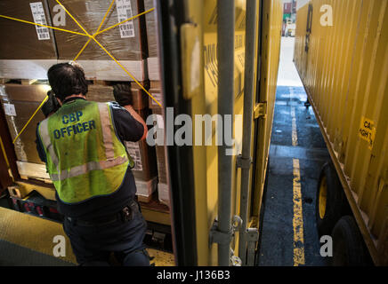 U.S. Customs and Border Protection, Office of Field Operations, Agriculture Specialist Timothy Morris searches for invasive insects and plant material that may have hitched a ride from an overseas shipment at the Port of Baltimore in Baltimore, Md., April 4, 2017. U.S. Customs and Border Protection Photo by Glenn Fawcett Stock Photo