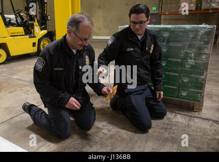 U.S. Customs and Border Protection, Office of Field Operations, Acting Supervisory Agriculture Specialist Jason Koliopoulos, left, and Supervisory Agriculture Specialist  Richard Leshin collect samples of weed seed from the bottom of shipping pallets at the Port of Baltimore in Baltimore, Md., April 4, 2017. U.S. Customs and Border Protection Photo by Glenn Fawcett Stock Photo