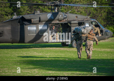 Teams compete in the 34th Annual Best Ranger Competition at Fort ...