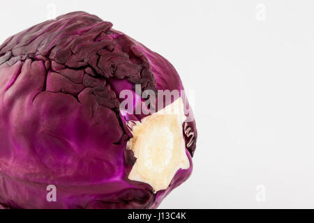 Red cabbage (Brassica oleracea) isolated in white background Stock Photo
