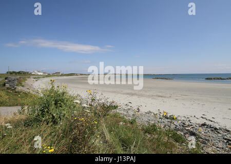 Sandy beach on County Down coast, Northern Ireland. The beach is at Kearney, near the village of Portaferry on the Ards Peninsula, County Down. Stock Photo