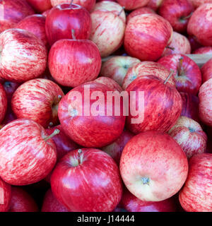 Fuji apples for sale in a market. Stock Photo