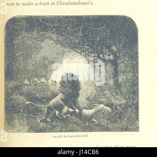 The Last Journals of David Livingstone in Central Africa, from 1865 to his death. Continued by a narrative of his last moments and sufferings, obtained from his faithful servants Chuma and Susi, by H. Waller. With portrait, maps, and illustrations Stock Photo