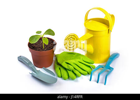 gardening equipment and potted plant isolated on white background Stock Photo