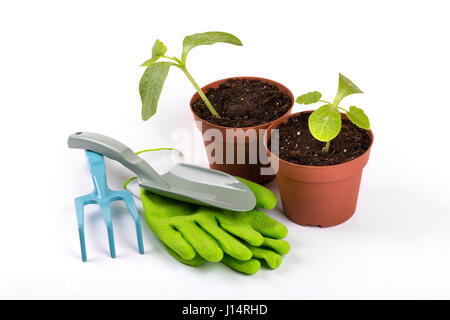 gardening equipment and potted plants isolated on white background Stock Photo