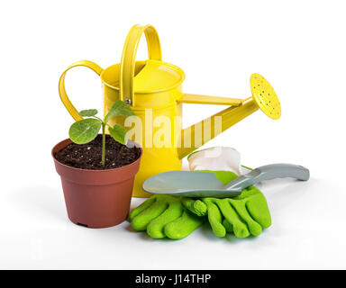 gardening tools and potted plant isolated on white background Stock Photo
