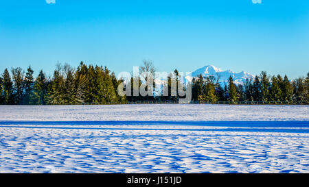 Winter landscape of Mount Baker on a sunny day as one of the mountain peaks in the Cascade Mountains in Washington State. Stock Photo