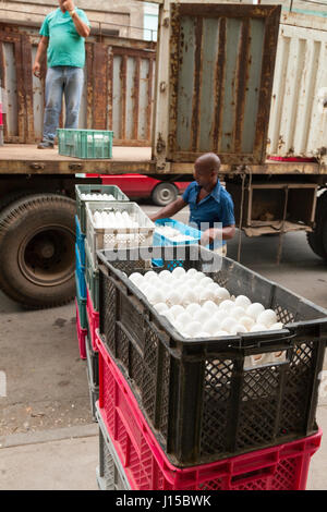 Two men loading or unloading egg crates from a delivery truck in Havana, Cuba. Stock Photo
