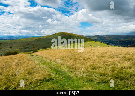 On Willstone Hill, with the main top of Hope Bowdler Hill in the distance, in the Hope Bowdler hills, near Church Stretton, Shropshire, England, UK. Stock Photo