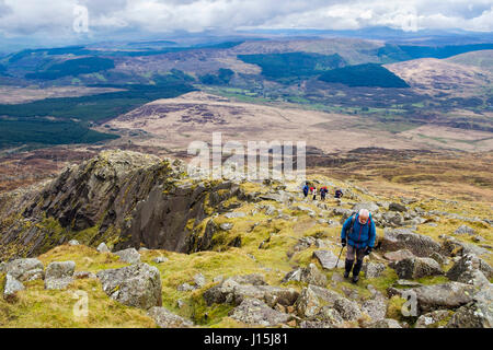 Elderly senior hiker hiking up Daear Ddu east ridge on Carnedd Moel Siabod mountain in mountains of Snowdonia National Park Capel Curig Conwy Wales UK Stock Photo