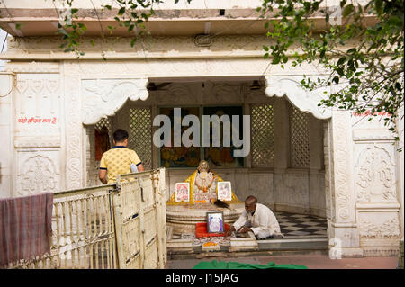 Nidhivan temple, vrindavan, mathura, uttar pradesh, india, asia Stock Photo