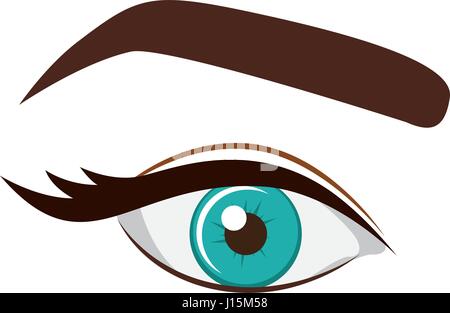 woman blue eye with eyebrow Stock Vector