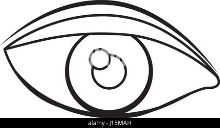 silhouette drawing of eye with eyebrow Stock Vector