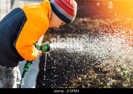 Little boy watering flowers with sunset background Stock Photo