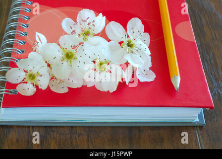 Romantic letter diary. Spring blossom on notebook with pencil love message symbol. Lovely flowers passion concept. Love lyrics book. Stock Photo