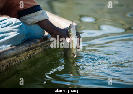 A fisherman catches a yellow fish on Lesotho's Katse dam Stock Photo