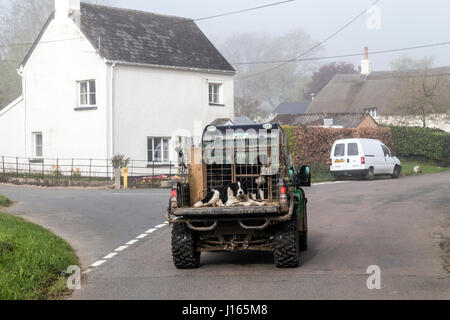 Dogs in back of Gator in the Hamlet of Butts,Dunsford in the Teign Valley,Dunsford,Dartmoor National Park Stock Photo