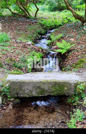 Moss covered stone slab provides a bridge over a Devon stream Stock Photo