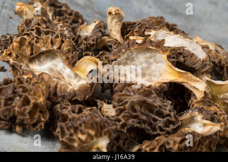 Speisemorchel, Speise-Morchel, Rundmorchel, Rund-Morchel, Morchel, Speisemorcheln, Morcheln, Pilzernte, getrocknet, getrocknete Pilze, Trockenpilz, Tr Stock Photo